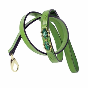 Leap Frog Collection Dog Leash Lime Green dog mixer,pet meal booster