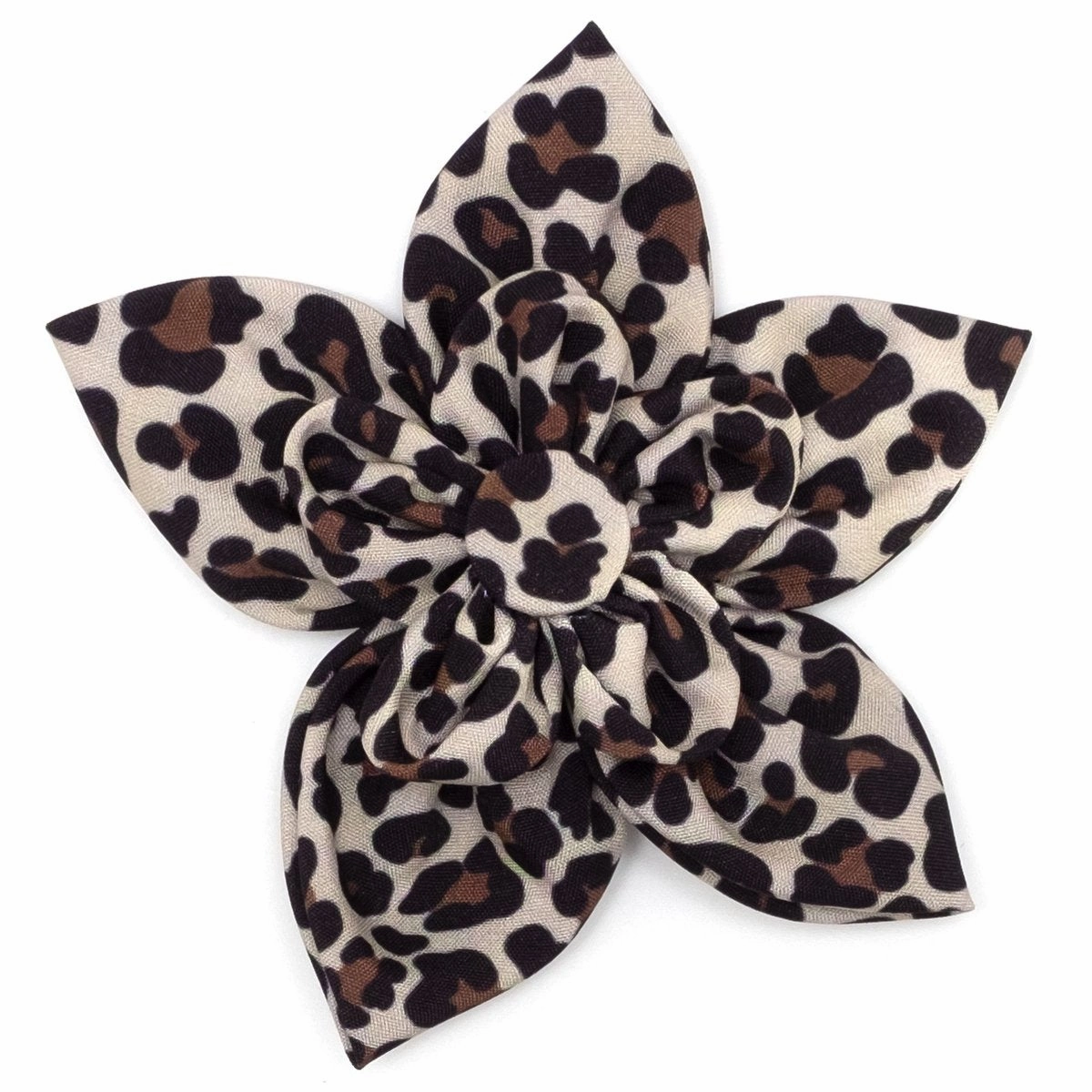 Leopard Dog Collar Flower Tan