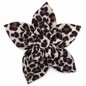 Leopard Dog Collar Flower Tan