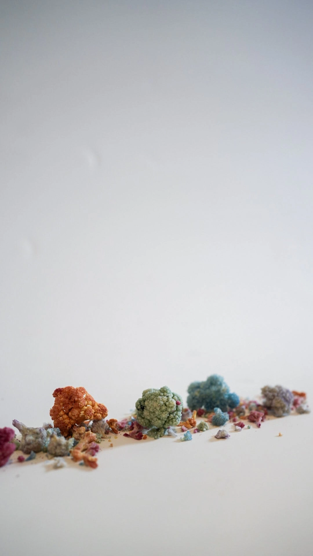 Licked CRONCH Freeze Dried Dog Treats (Rainbow Cauliflower)