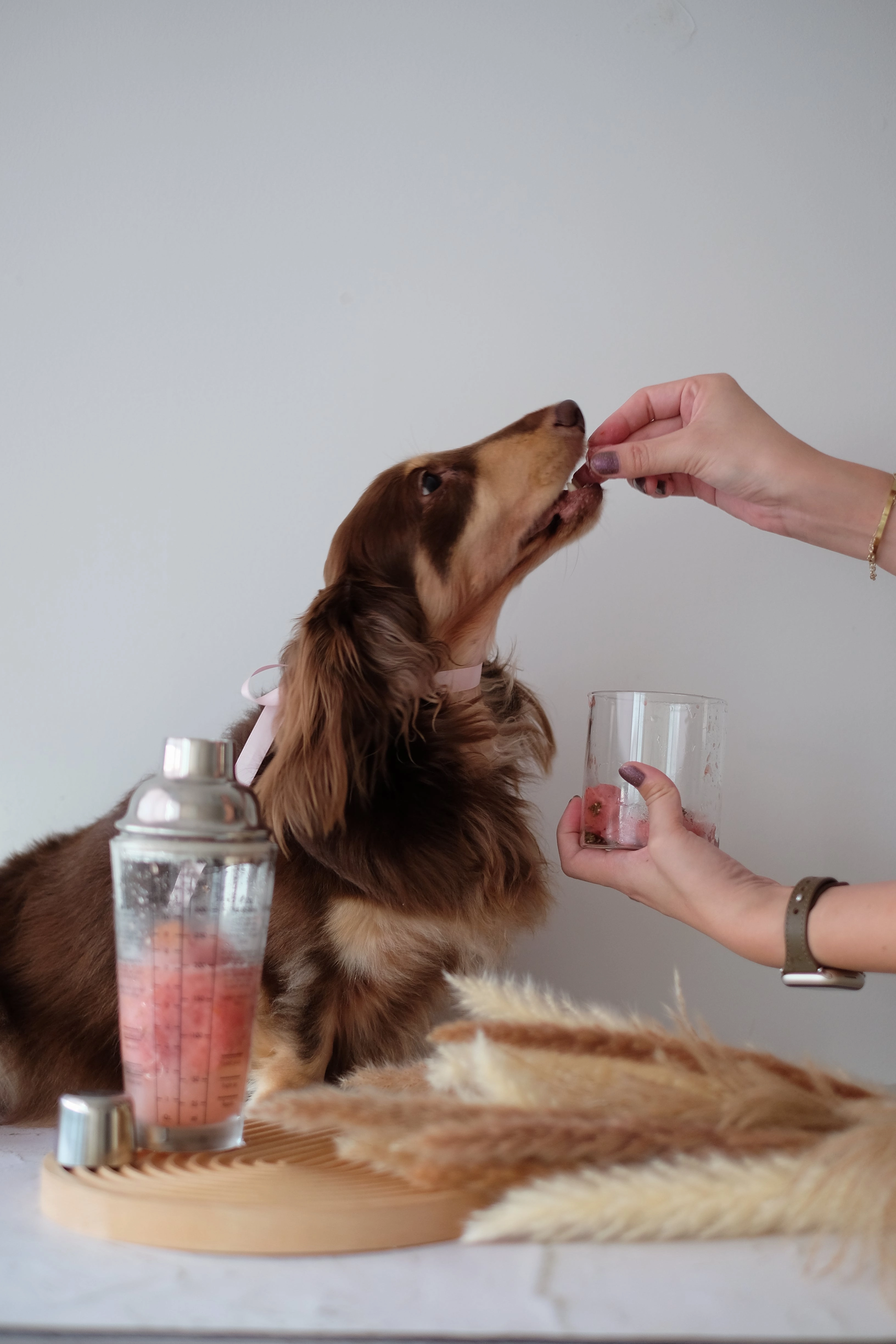Licked Super Tubby Froyo Frozen Dog Treats (Feelin Peachy)