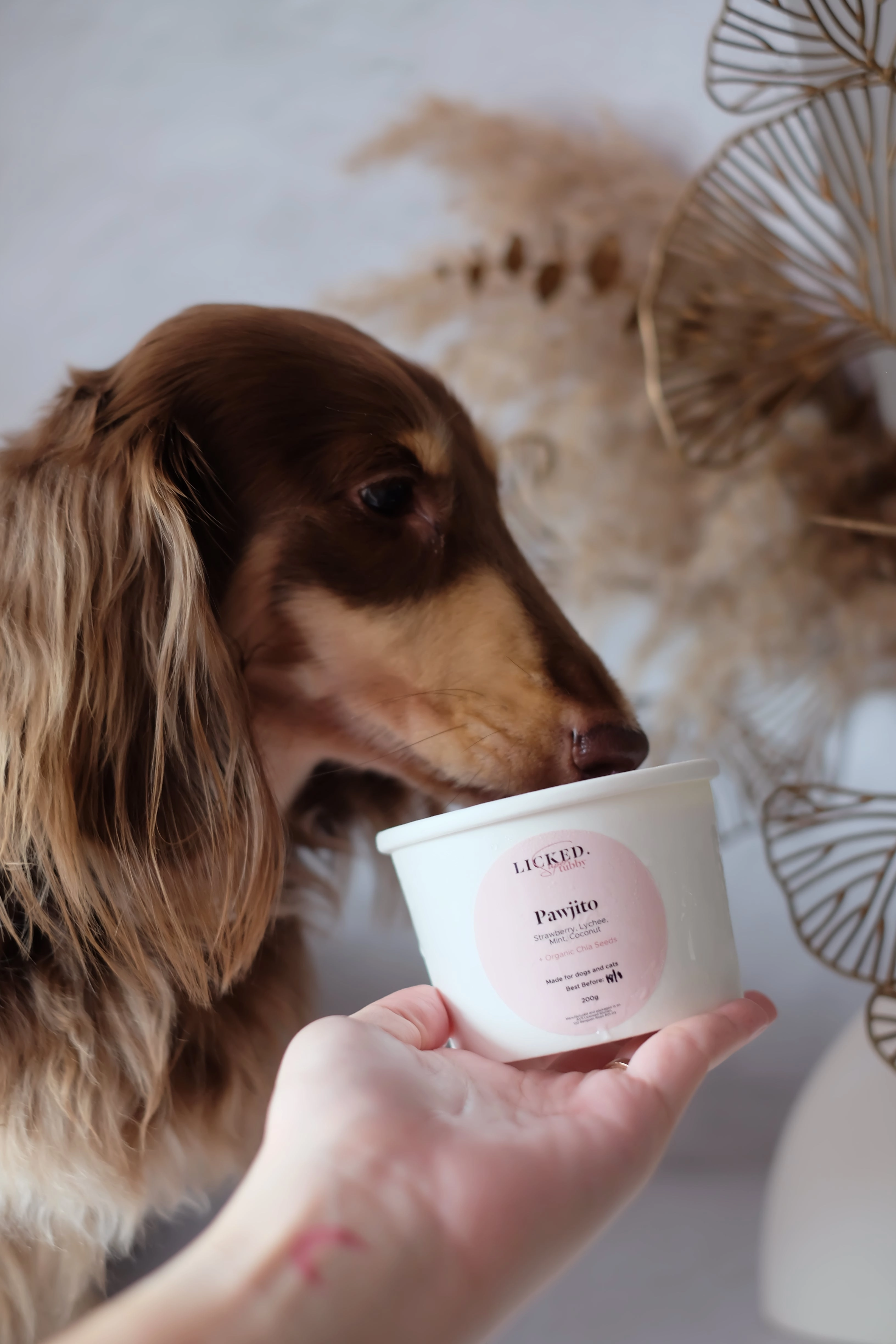 Licked Super Tubby Froyo Frozen Dog Treats (Pawjito)