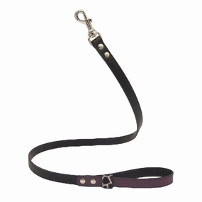 Lilac Desert Dog Leash dog mobility,outdoor pet aid