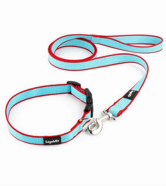 Loyal.D Bamboo Collar & Dog Leash Set (2 Colors) dog charms,dog ID