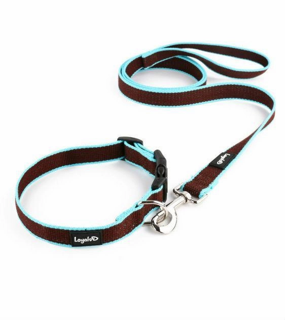 Loyal.D Bamboo Collar & Dog Leash Set (2 Colors)