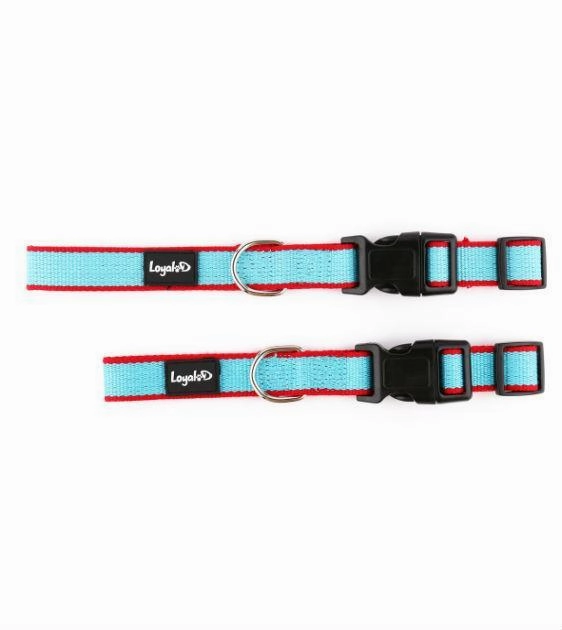 Loyal.D Bamboo Collar & Dog Leash Set (2 Colors)