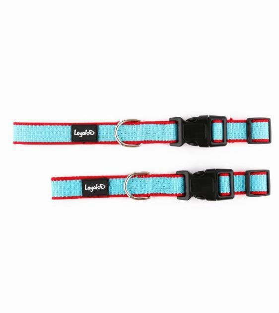 Loyal.D Bamboo Collar & Dog Leash Set (2 Colors)