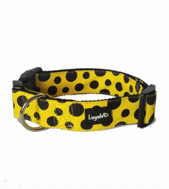 Loyal.D Canvas.D Get Spott.D (Yellow) Dog Collar dog charms,dog ID