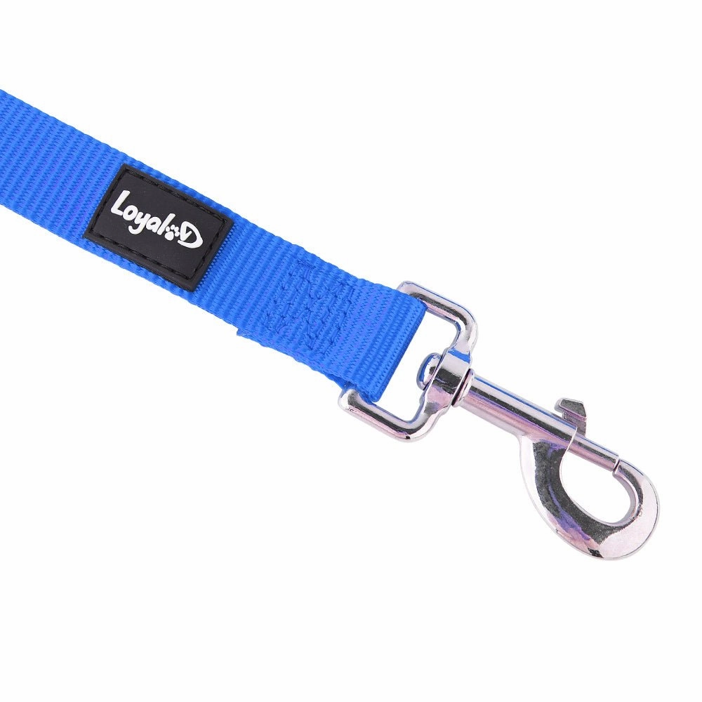Loyal.D Fix.D Comfort Blue Dog Leash (Neoprene Handle)