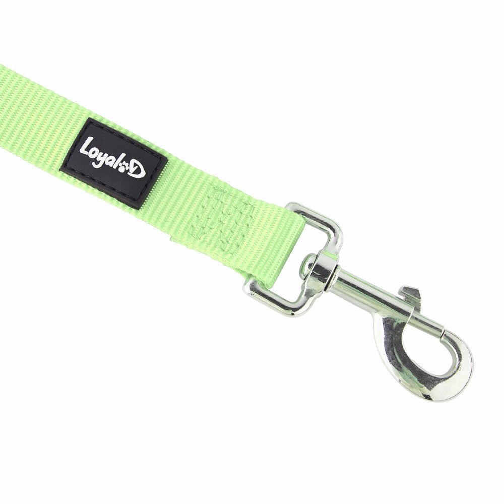 Loyal.D Fix.D Comfort Lime Green Dog Leash (Neoprene Handle)