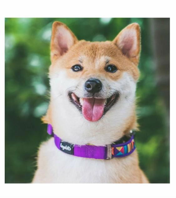 Loyal.D Lisu Tribal Martingale Dog Collar (3 Colors)