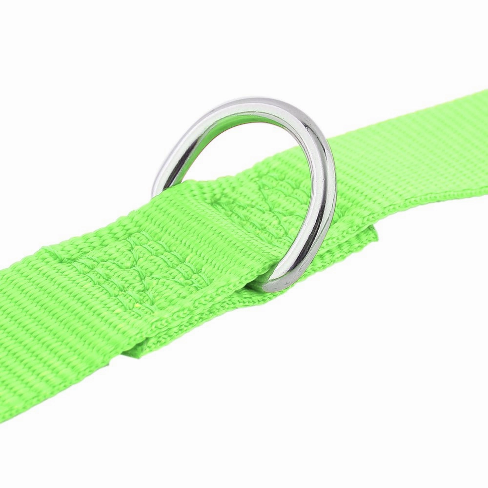 Loyal.D Multi-Purpose.D Lime Green Dog Leash
