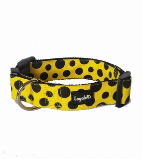 Loyal.D WIDE Canvas.D Get Spott.D (Yellow) Dog Collar dog charms,dog ID