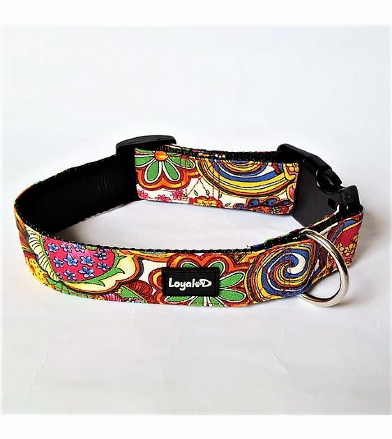 Loyal.D WIDE Canvas.D Happy Hippy Dog Collar dog charms,dog ID