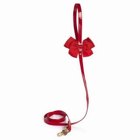 Luna Moongirl Dog Leash Red dog mobility,outdoor pet aid