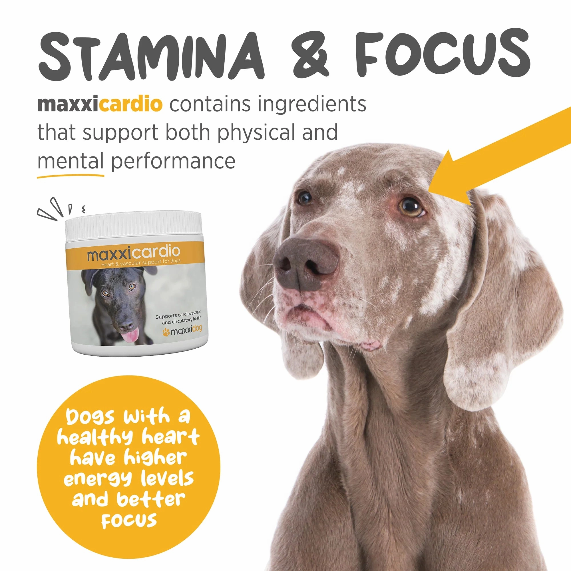 Maxxipaws MaxxiCardio (Heart & Vascular Support) Supplements for Dogs