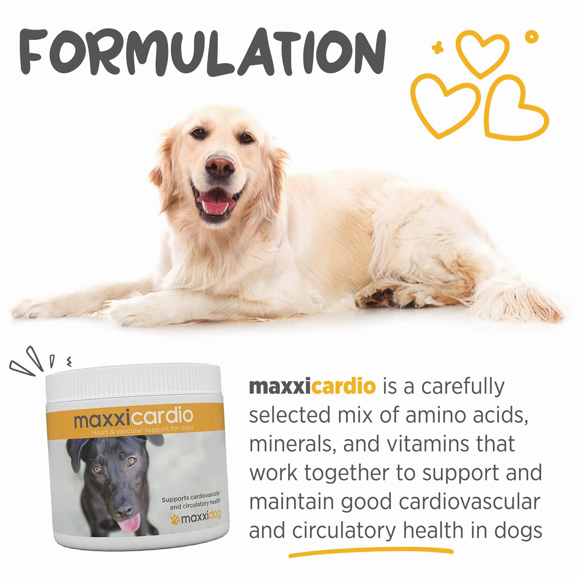 Maxxipaws MaxxiCardio (Heart & Vascular Support) Supplements for Dogs