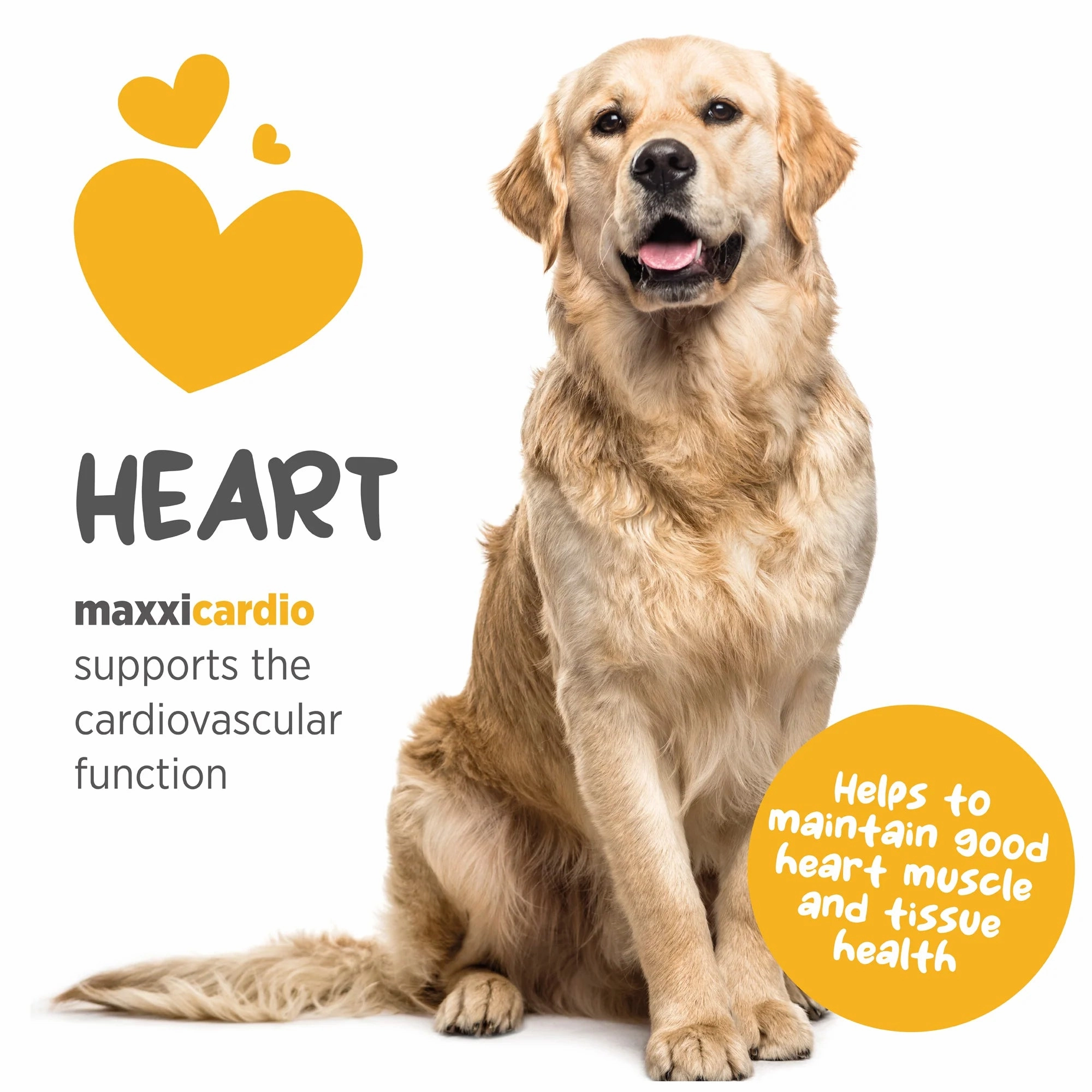 Maxxipaws MaxxiCardio (Heart & Vascular Support) Supplements for Dogs