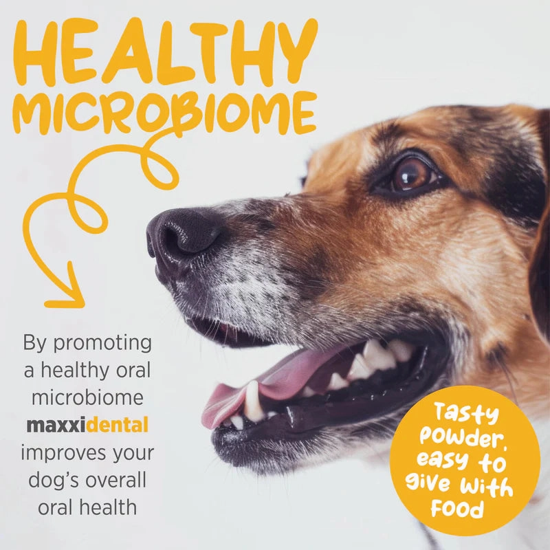 Maxxipaws Maxxidental (Advanced Oral Support) Dental Supplement for Dogs