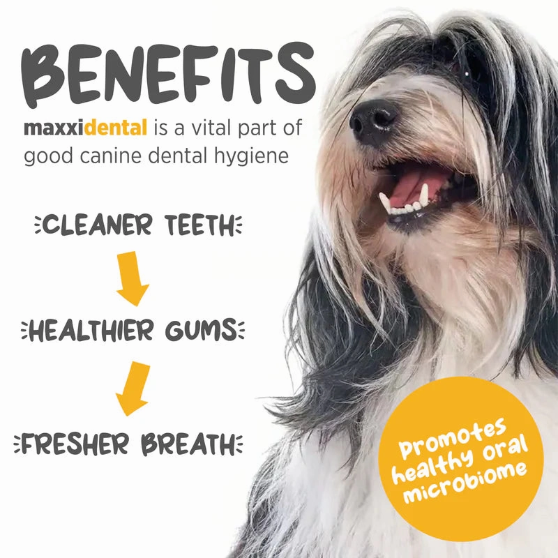 Maxxipaws Maxxidental (Advanced Oral Support) Dental Supplement for Dogs