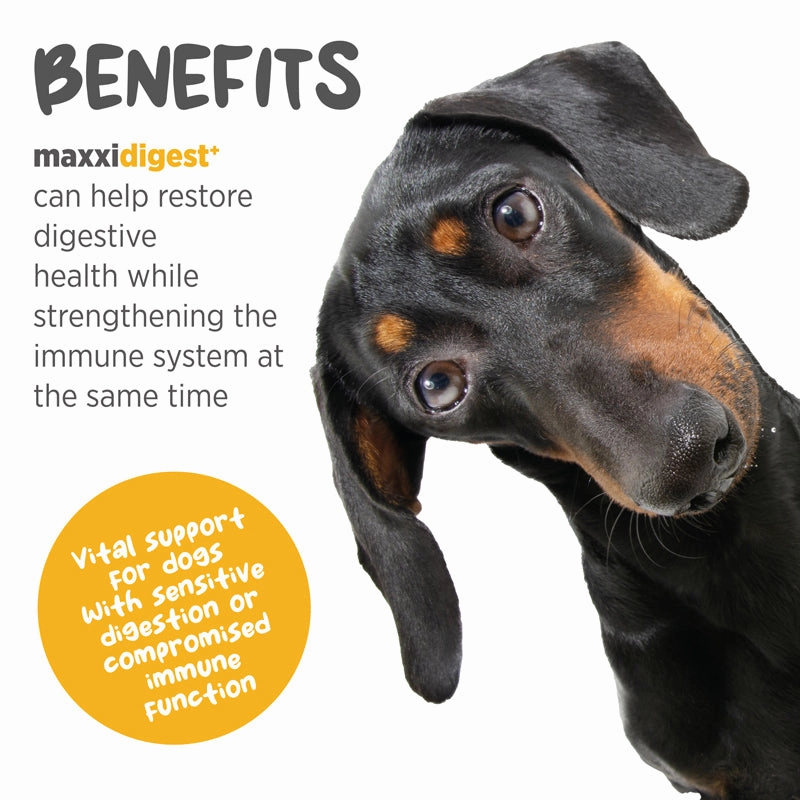 Maxxipaws Maxxidigest  (Digestive & Immune Support) Supplements for Dogs