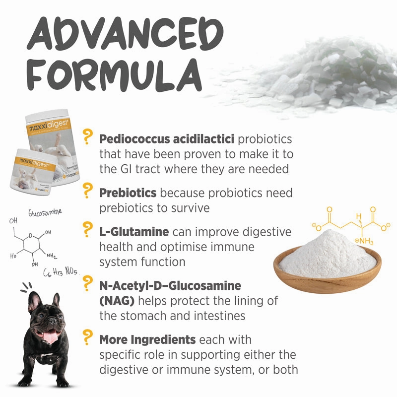 Maxxipaws Maxxidigest  (Digestive & Immune Support) Supplements for Dogs