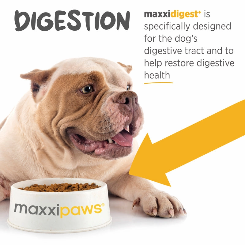 Maxxipaws Maxxidigest  (Digestive & Immune Support) Supplements for Dogs