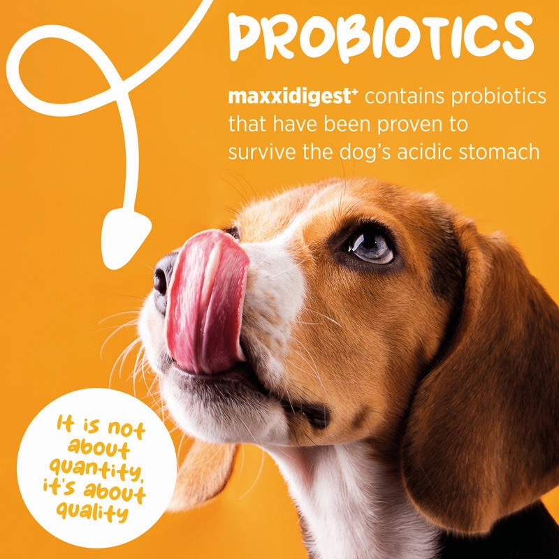Maxxipaws Maxxidigest  (Digestive & Immune Support) Supplements for Dogs