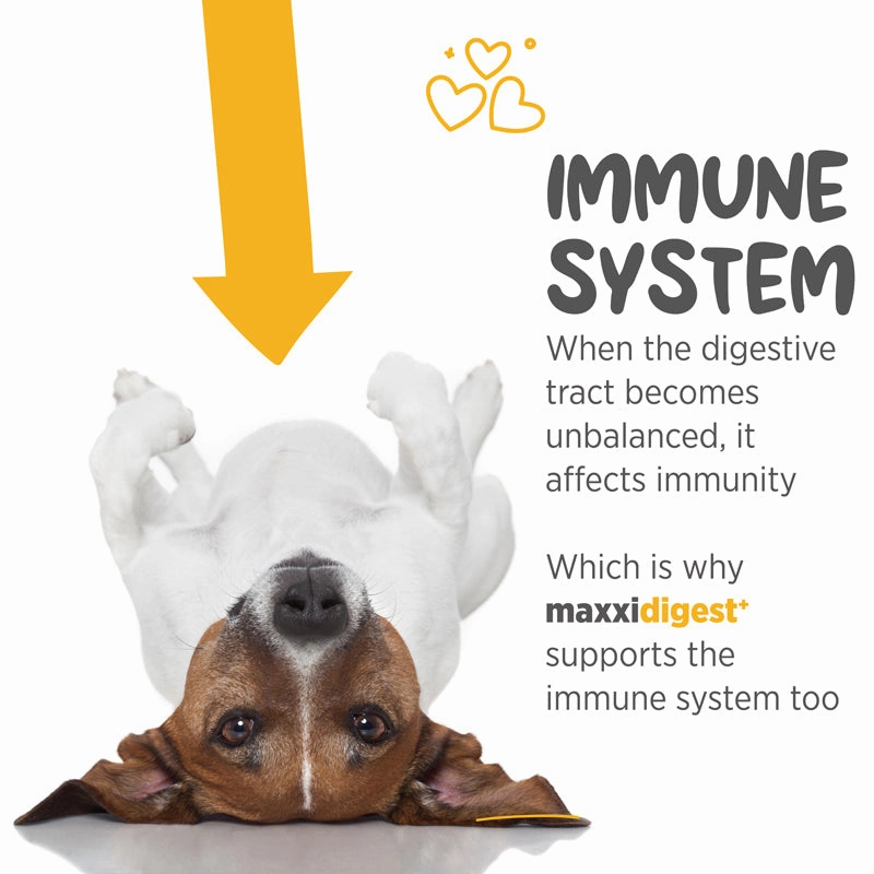 Maxxipaws Maxxidigest  (Digestive & Immune Support) Supplements for Dogs