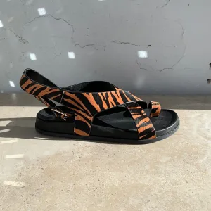 Mollini Huiro Tan Zebra - LAST PAIR size 36 Shoes_Mollini