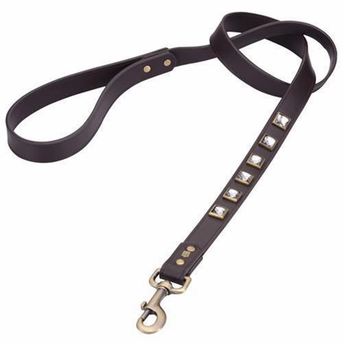 Monte Carlo Brown Dog Leash dog mobility,outdoor pet aid