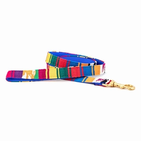 Mystic Dog Leash dog mobility,outdoor pet aid