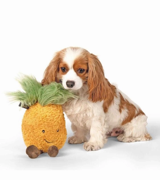 Nandog Pet Gear My BFF Pineapple Squeaker Toy