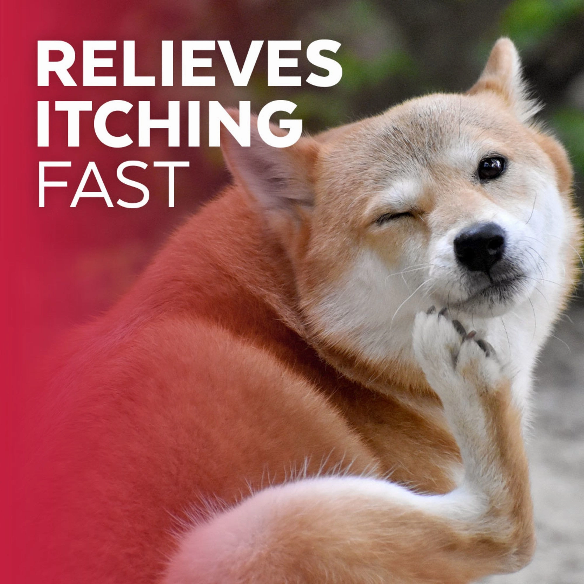 Naturl Promise Clinic Aid Clinical Anti-itch Remedy Treatment Conditioner for Dogs & Cats