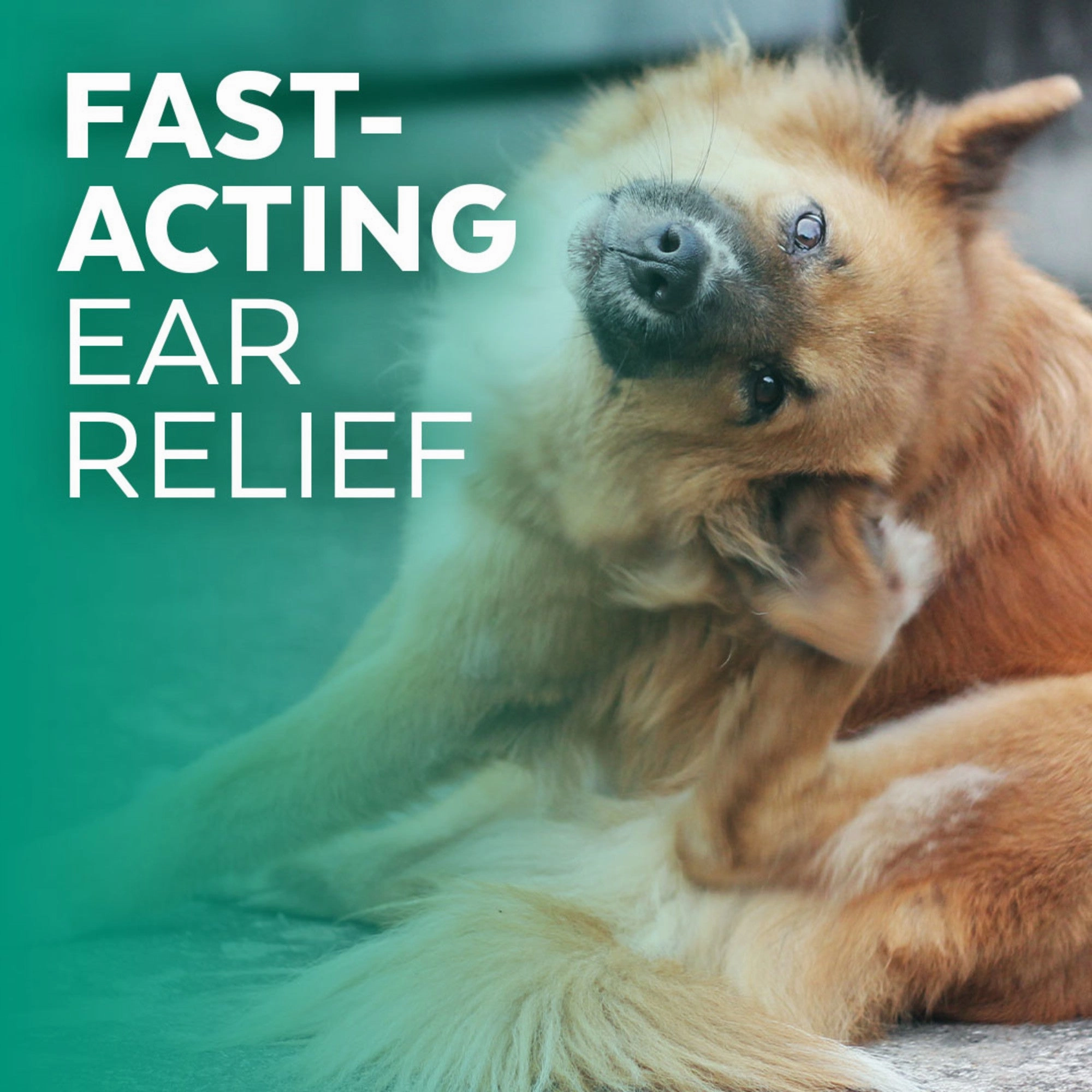 Naturl Promise Clinic Aid Ear Cleaner for Dogs & Cats