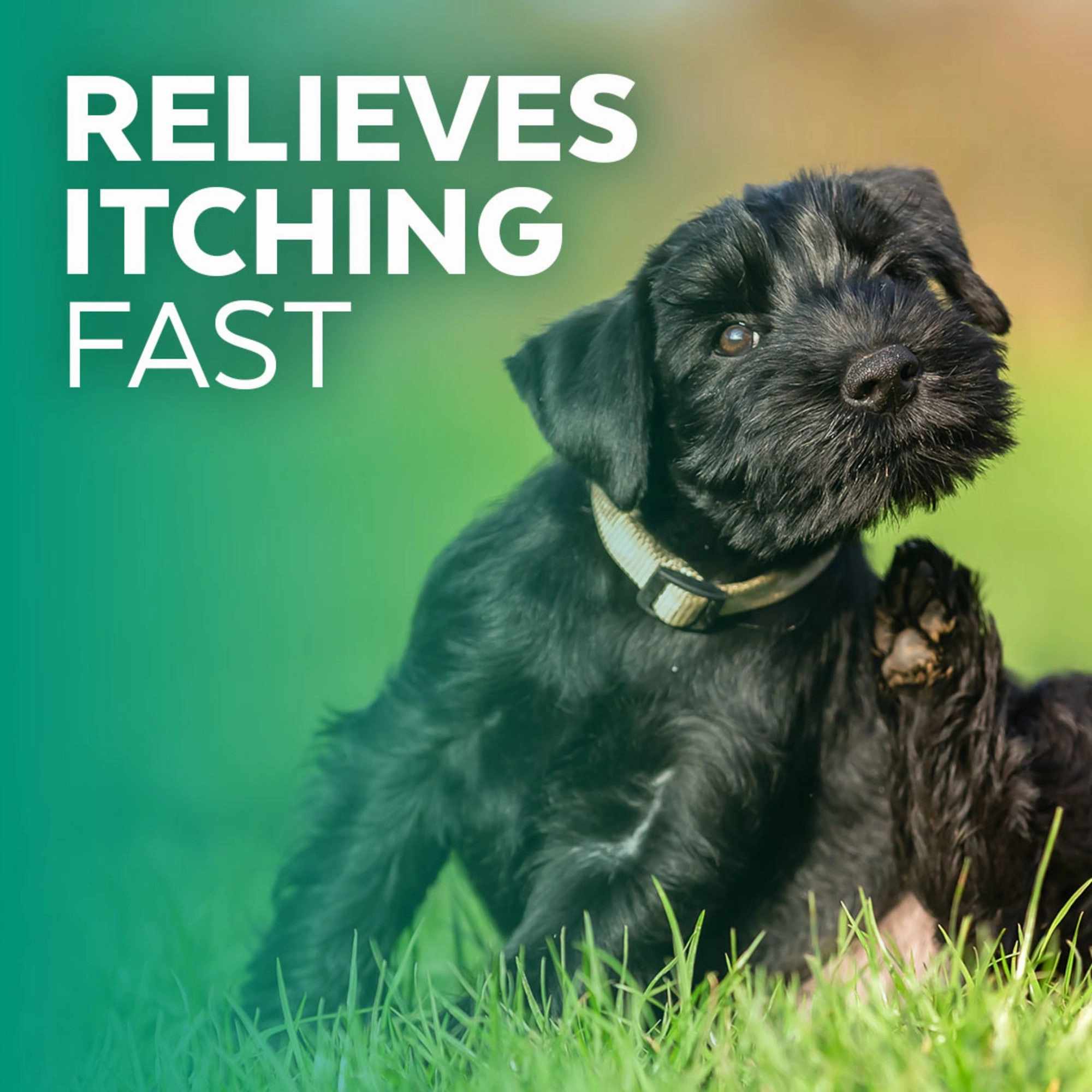 Naturl Promise Clinic Aid Hot Spot Treatment for Dogs & Cats