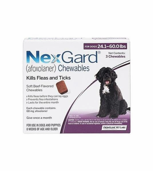 NexGard Flea & Tick Chews For Large Dogs (10kg - 25kg) large breed food,big dog food