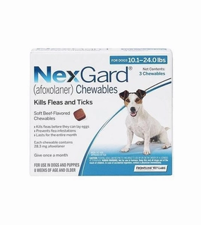 NexGard Flea & Tick Chews For Medium Dogs (4kg - 10kg) small breed food,tiny dog food
