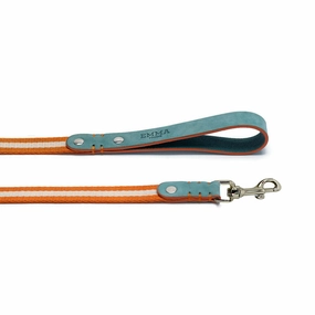 Nubuck Celestial Dog Leash dog mobility,outdoor pet aid
