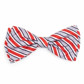 Ohio State Dog Bow Tie Helmet Stripe dog collar accessory,collar decor