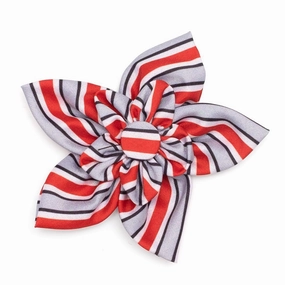 Ohio State Dog Collar Flower Helmet Stripe