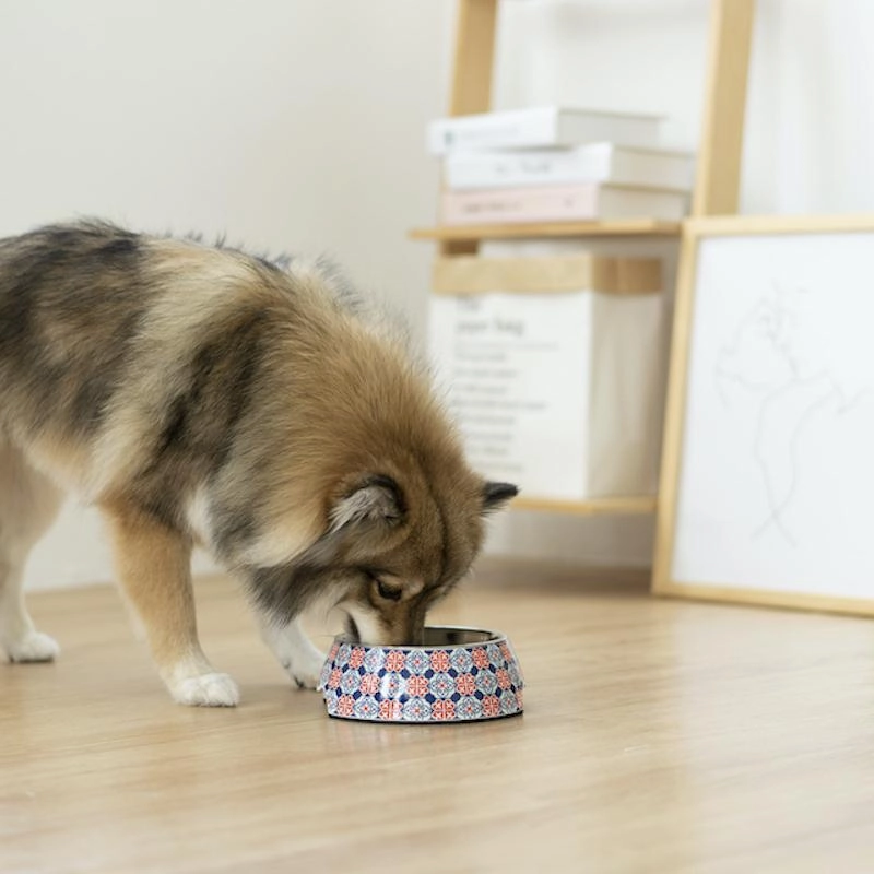 Ohpopdog Peranakan Inspired Royal Blue 150 Non-Slip Dog Feeding Bowl