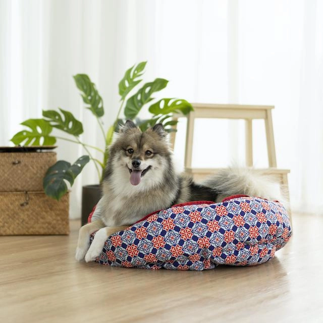 Ohpopdog Peranakan Inspired Royal Blue Reversible 150 Dog Bed
