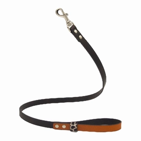 Orange Desert Dog Leash dog mobility,outdoor pet aid