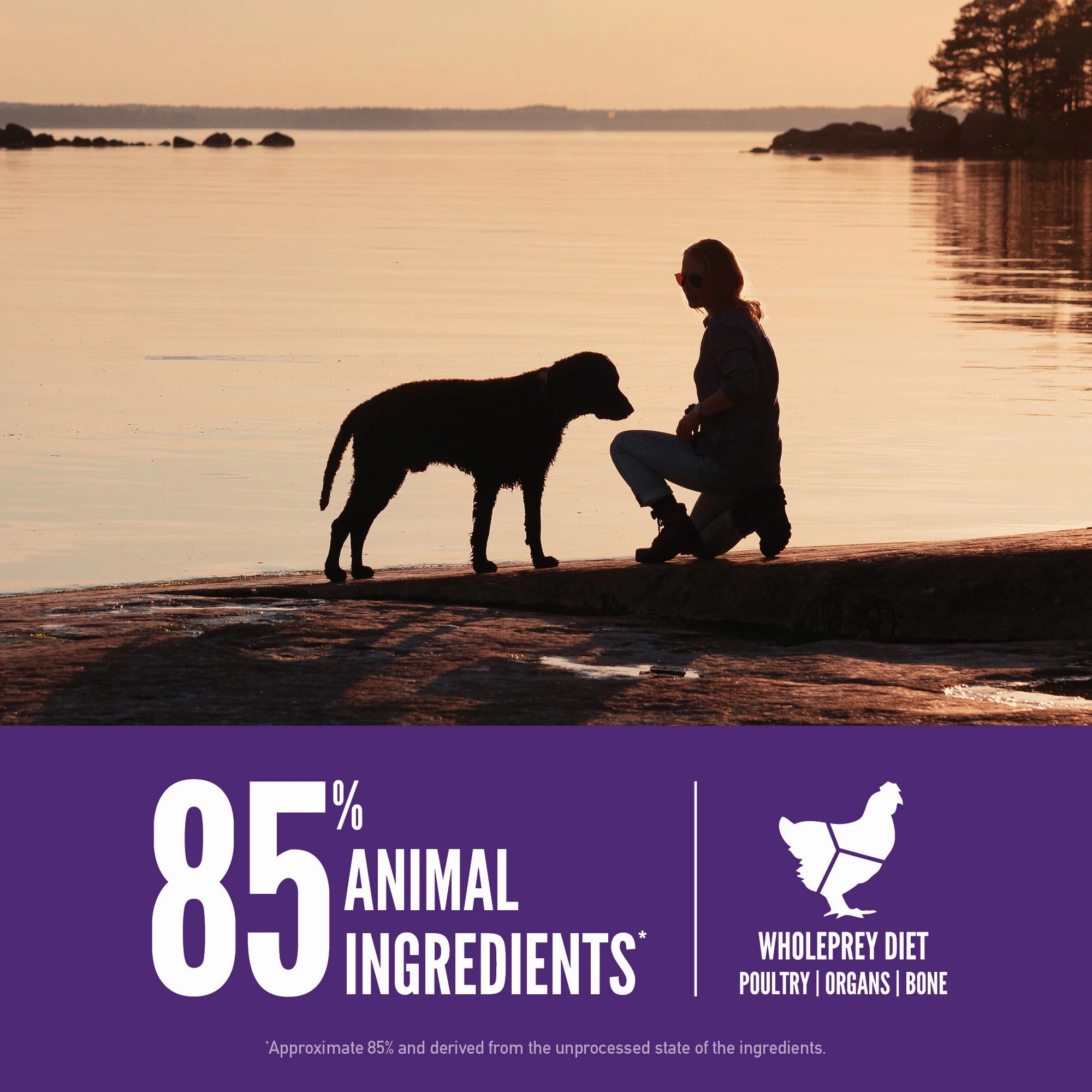 Orijen Large Breed Adult Dry Dog Food