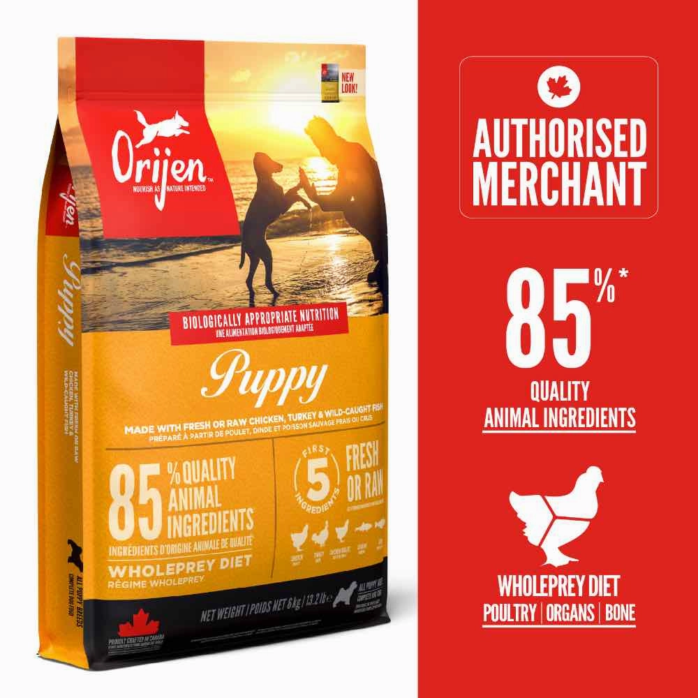 ORIJEN Puppy Grain-Free Dry Dog Food freeze dried dog food,raw nutrition dog,dog freeze dried kibble