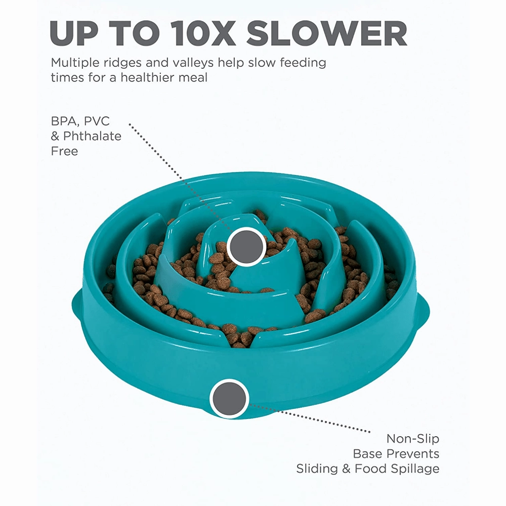 Outward Hound Fun/Slow Feeder for Dogs (Teal)