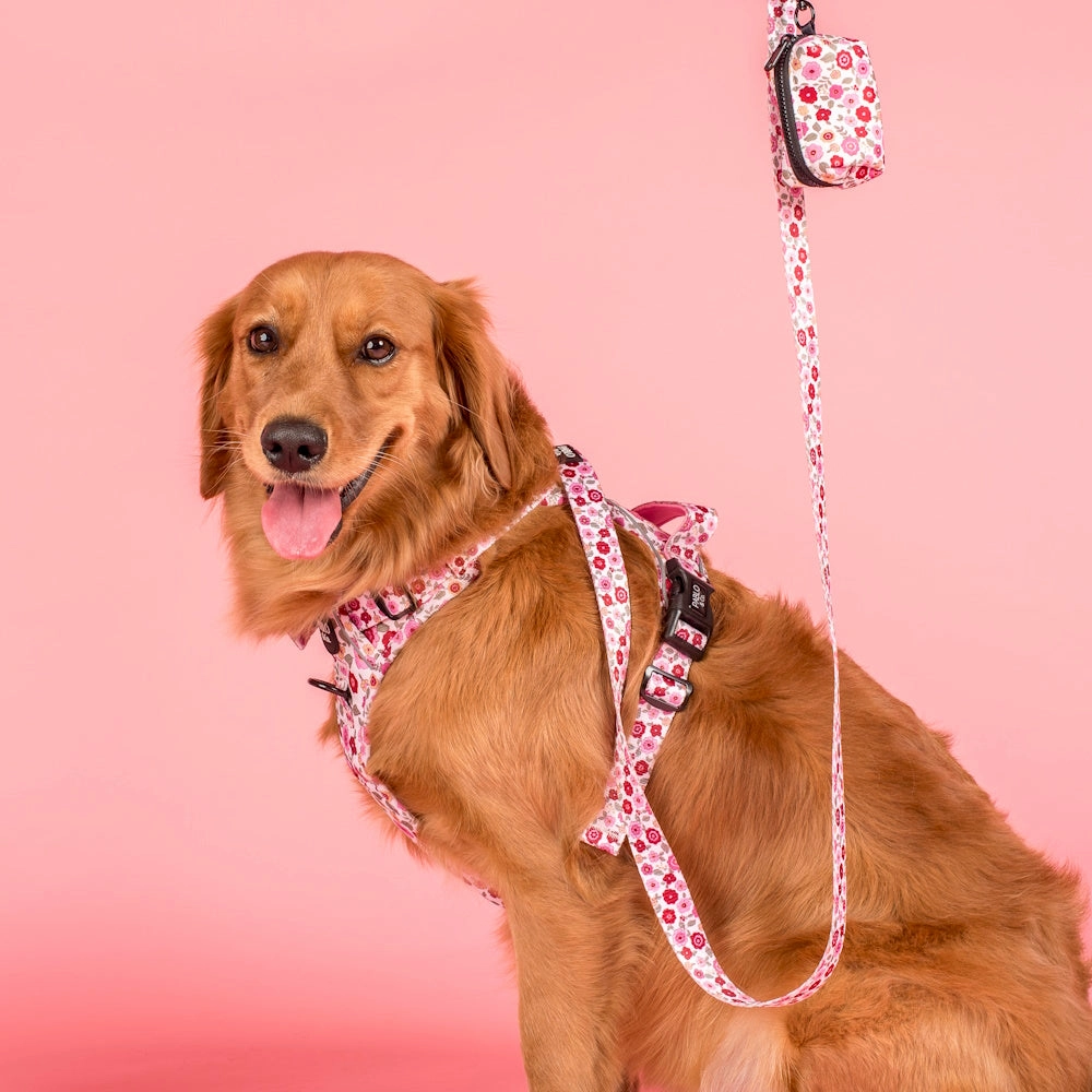 Pablo & Co Primrose Poop Bag Holder
