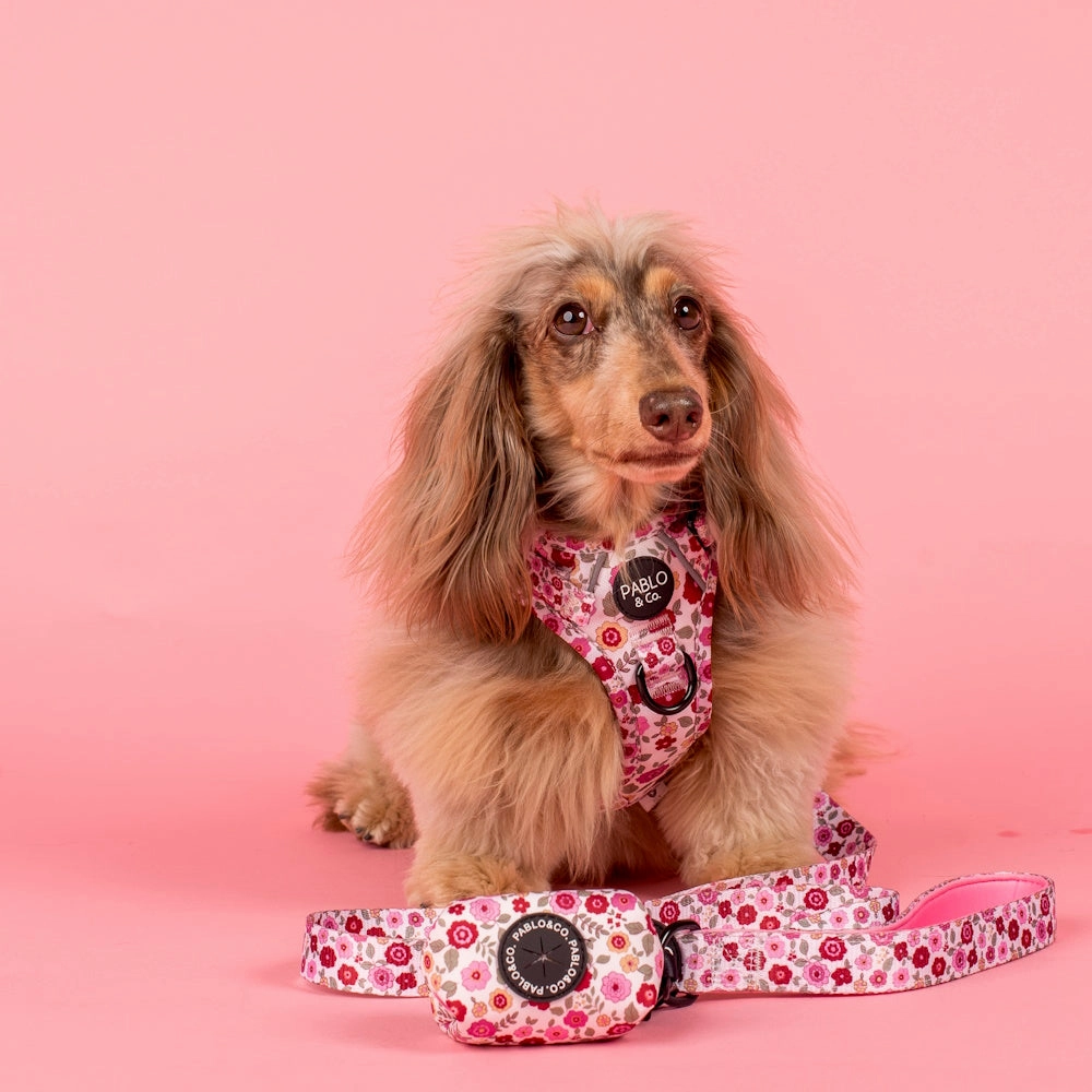 Pablo & Co Primrose Poop Bag Holder