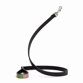 Patent Leather Psychedelic Dog Leash dog mobility,outdoor pet aid